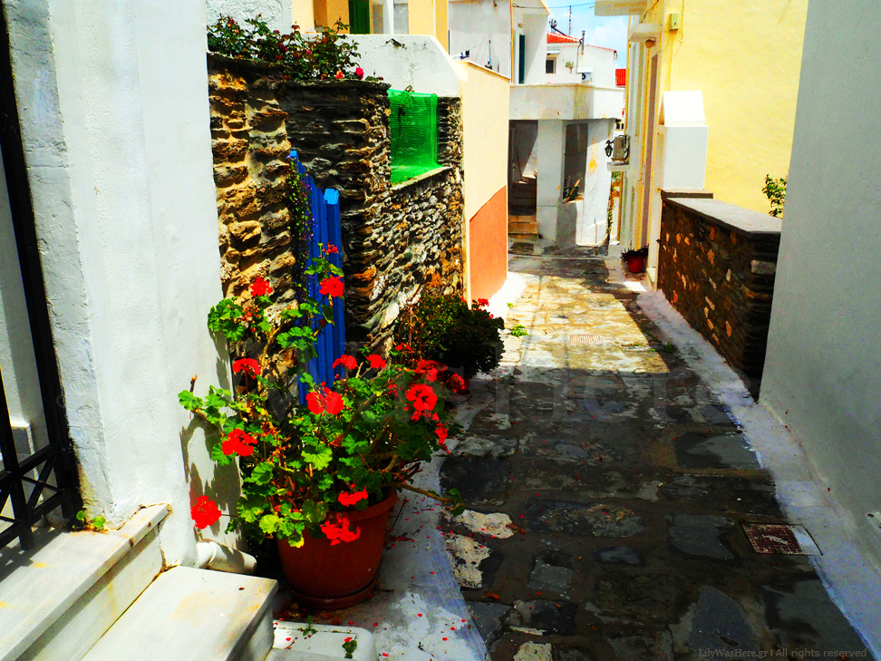 Androw, golden beach, Ανδρος, ανδρο, αντρος, αντρο, μπατσι, μπατση, γαυριο, γαβριο, χωρα, χορα, αμμος, αμος, andros, antros, andto, andro, antro, gaurio, mpatsi, batsi, gavrio, ammos, amos, chora, xwra, xora, kiklades, kyklades, tropical, exotic, τροπική, τροπικο, εξωτικο, εξωτικες, παραλία, παραλίες, travel, travel tips, travel guide, guide, tips, beach, travel greece, travel blog, λιλυςασηερε, lilywashere, xrysi paralia, xrusi, diamoni, photografies, fotografies, fotographies, foto, photografies,