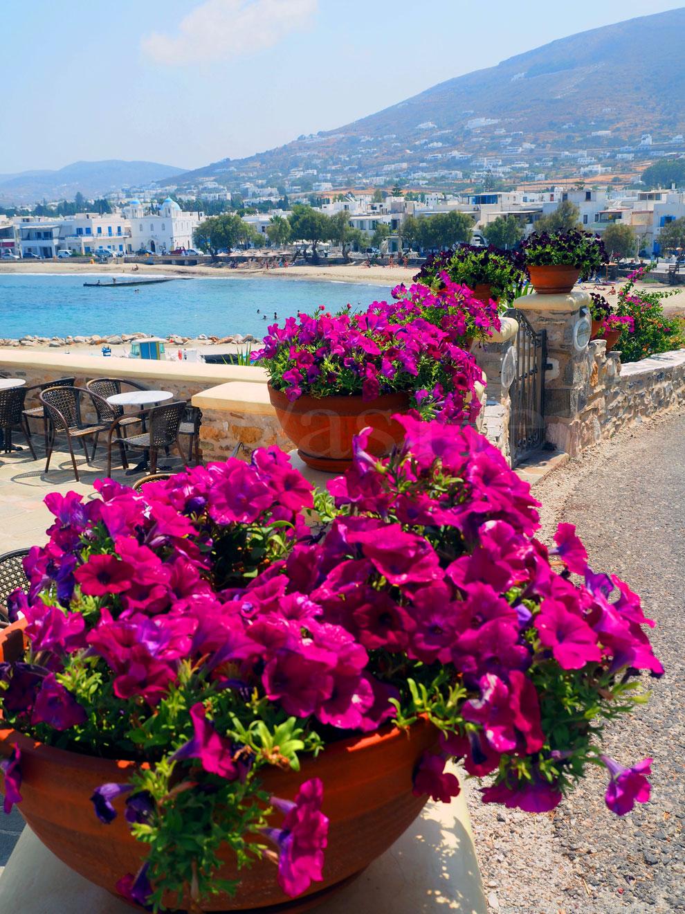 Παροικιά Πάρος Paroikia Paros
