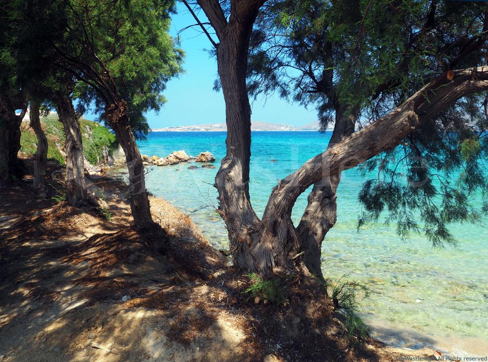 Παροικιά Πάρος Paroikia Paros