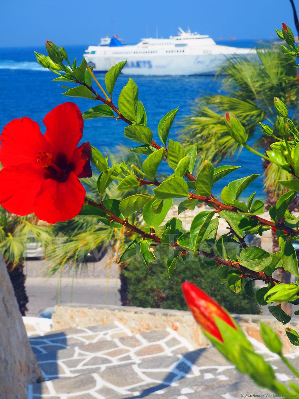 Παροικιά Πάρος Paroikia Paros