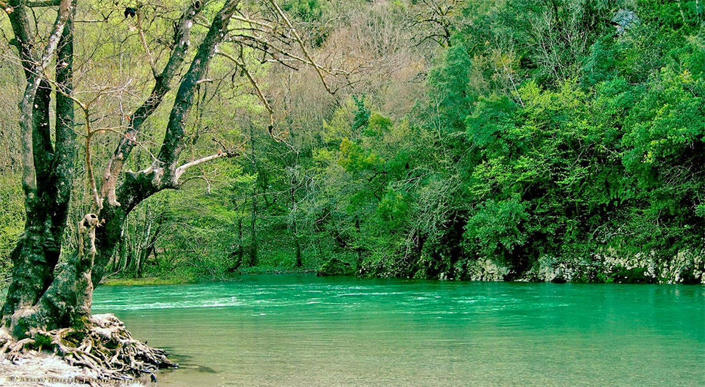 Βίκος | Vikos Gorge