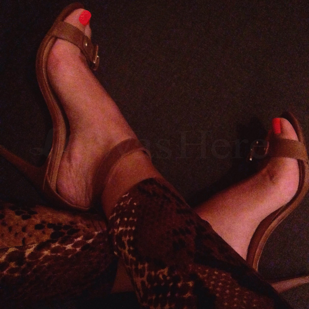 animal prints, animal print