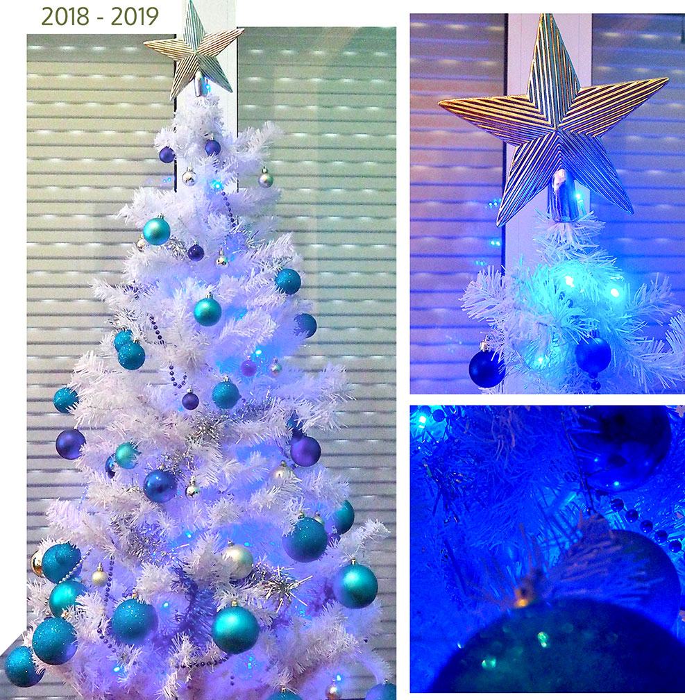 Χριστουγεννιάτικο δέντρο 2018-2019